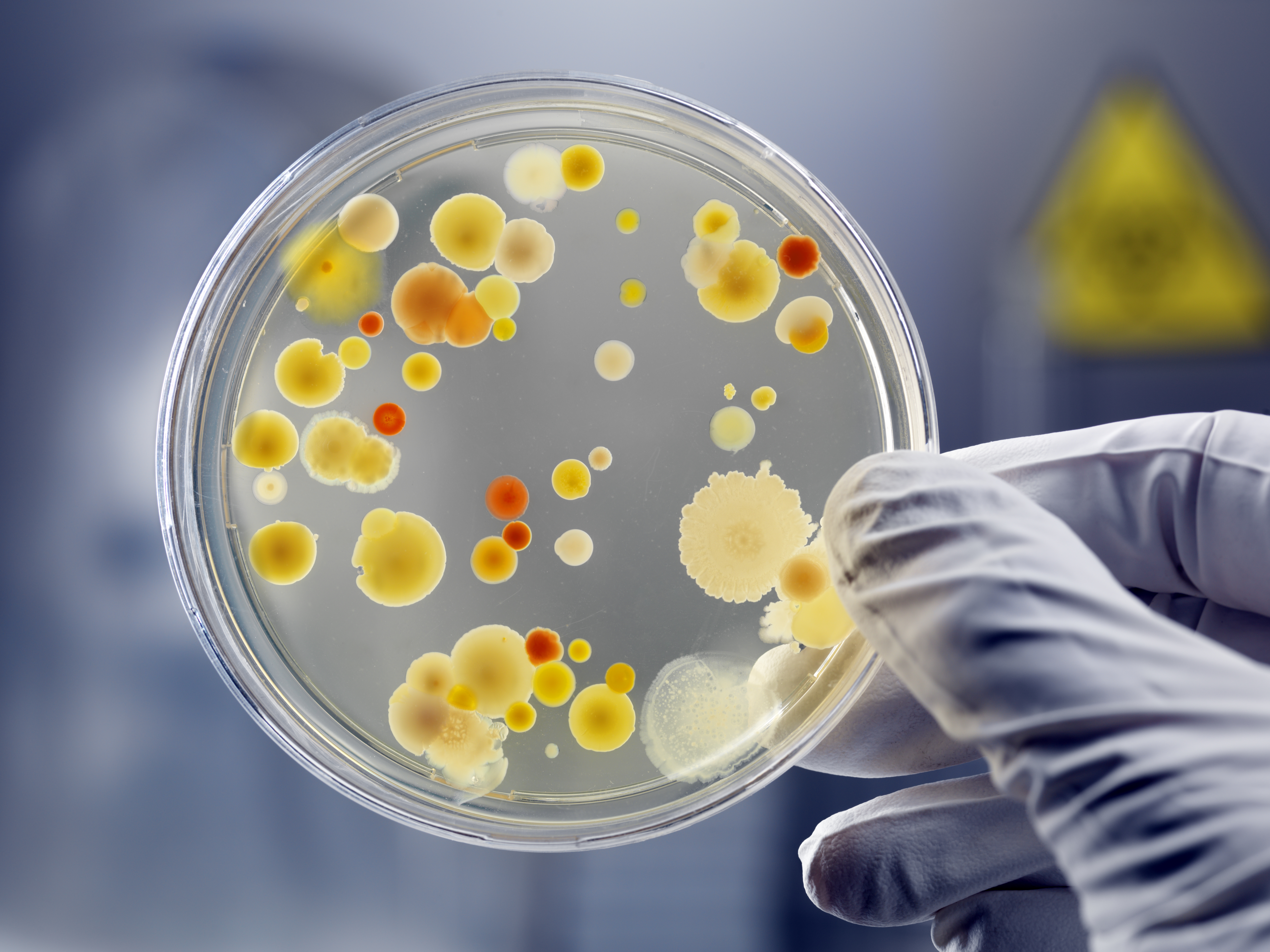 Microbiology Gettyimages 109726331